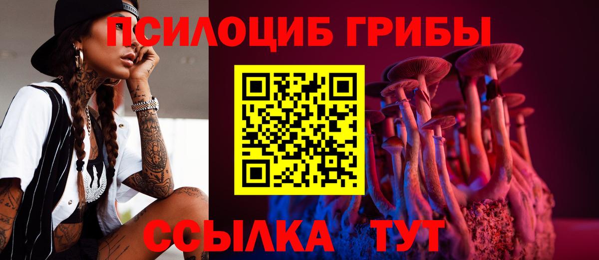 Псилоцибиновые грибы Psilocybe Буйнакск